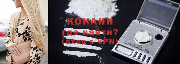 твердый Алексеевка