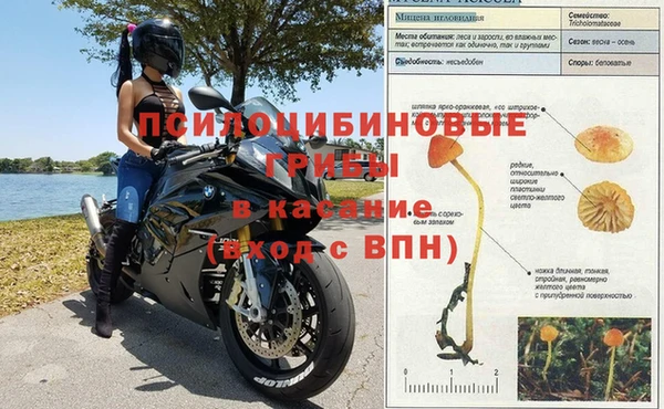 твердый Алексеевка