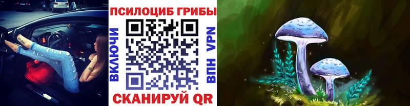 Псилоцибиновые грибы GOLDEN TEACHER  наркошоп  Абдулино 