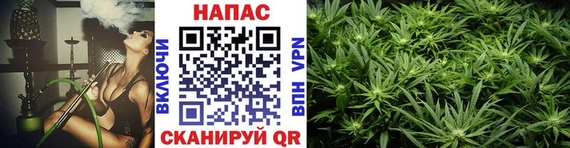 Каннабис Bruce Banner Абдулино